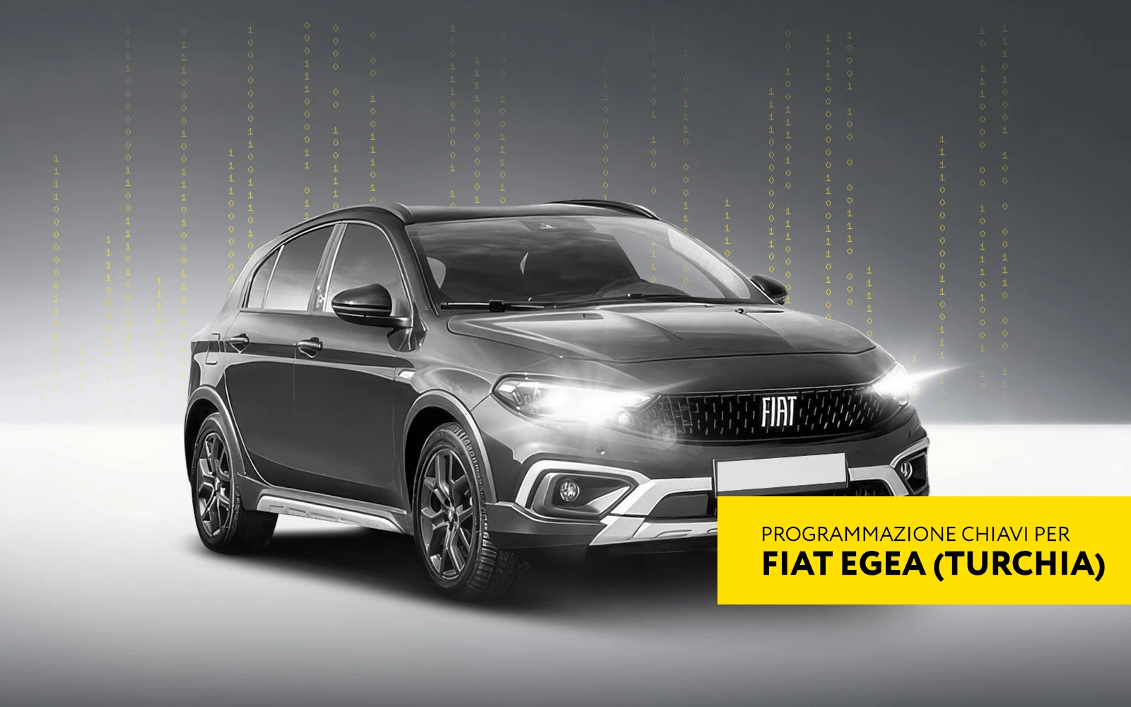 FIAT Egea Keyless: programmazione chiavi FN022