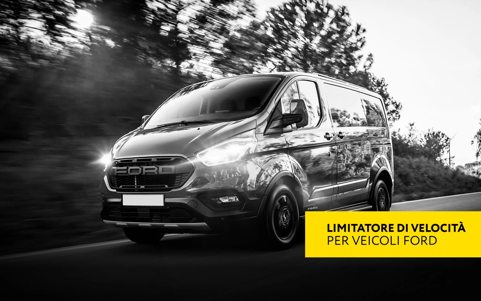 Ford: Limitatore di velocità con AVDI